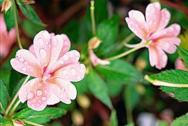 3D动作新游《是时候吃点寿司了》6月22日Steam发售